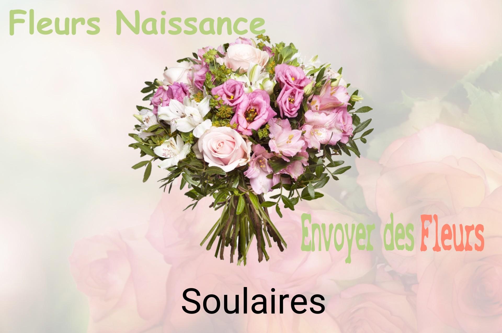 Bouquet de fleurs de naissance livré à Soulaires